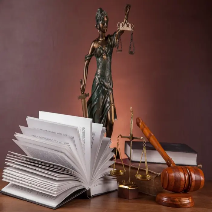 وصاية الام على ابنائها بالإمارات: دليلك الشامل 2 وصاية الام على ابنائها بالإمارات